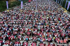 不雅众的视线被引向